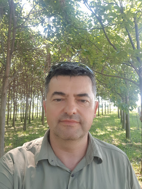  Hegedűs Attila